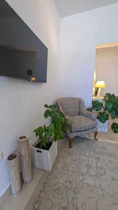 Apartment Scopas