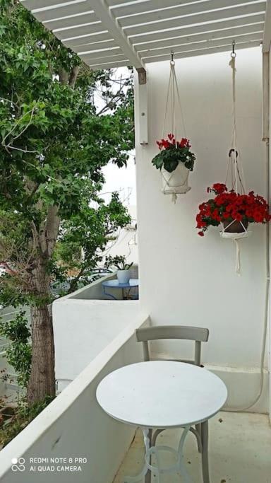 Scopas Apartment *