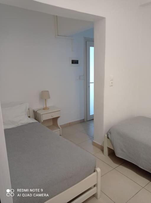 Apartment Scopas