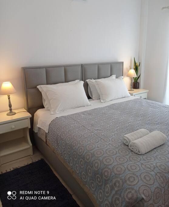 Apartment Scopas *